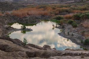 אטרקציות בים המלח