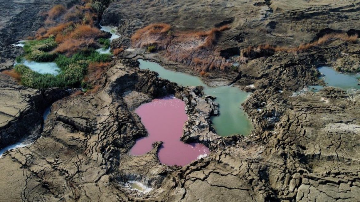 אטרקציות בים המלח